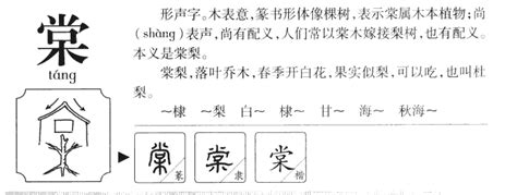 棠名字意思|棠字的含义和寓意